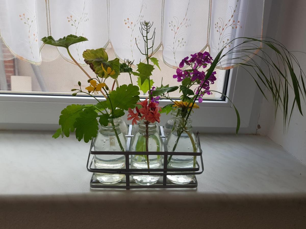 Ferienwohnung Burgenblick Thale Dış mekan fotoğraf